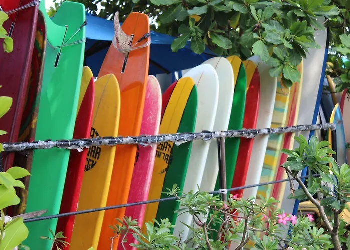 Mojosurf Camp *