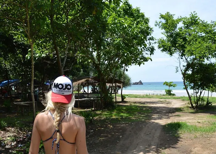 Mojosurf Camp *